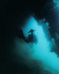 79fe012f c9b1 49d9 9864 35f0ef399978