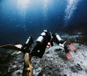 89173083 153e 4931 ae95 232d0cf943f5