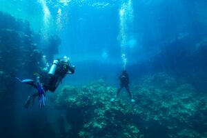 9d199801 512e 4435 891f 9c1bfd29719c